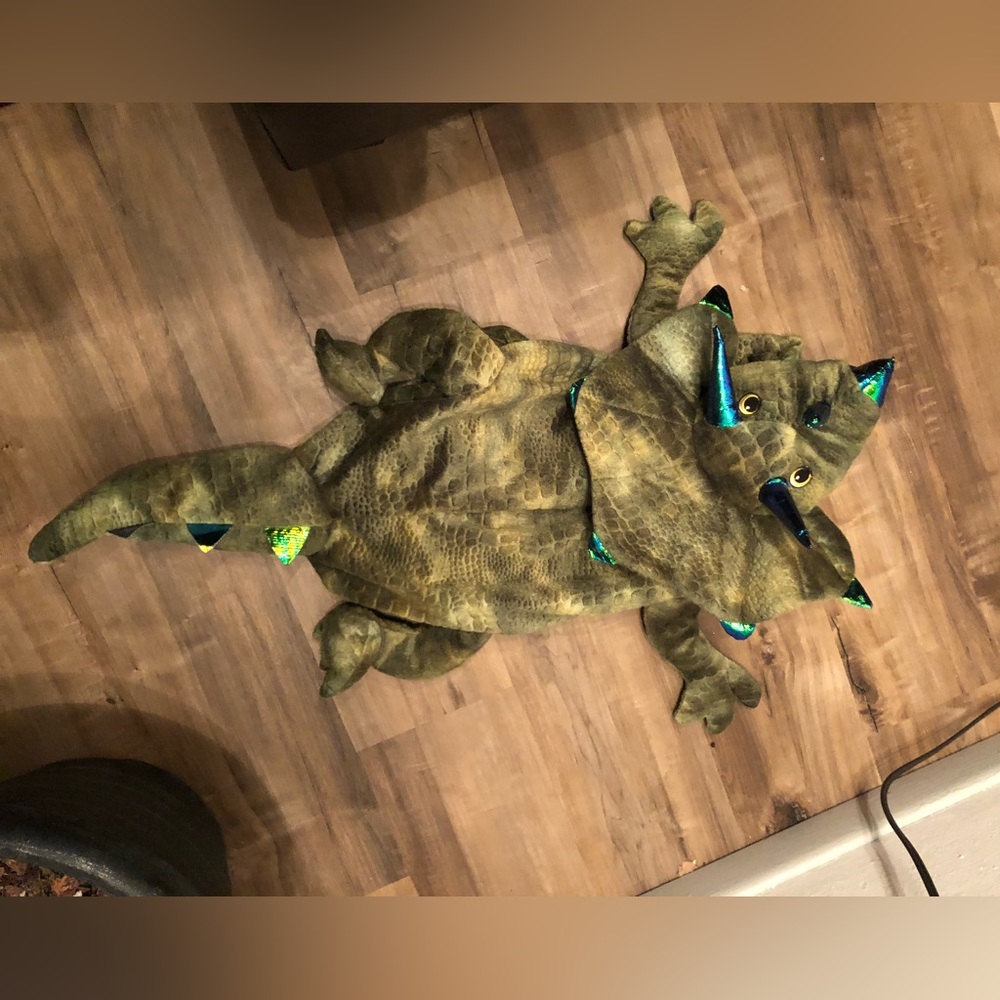 Dog dinosaur costume